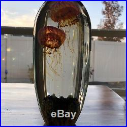 10 Satava Double Jellyfish Art Glass Paperweight