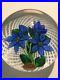 1982-Saint-Louis-France-Blue-Flower-Trellis-Paperweight-Ltd-Ed-8-150-with-Cert-01-xm