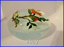 1984 PAUL STANKARD Red Desert Flower Exposed Root Art Glass Paperweight A45