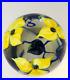 1986-Signed-Richard-Olma-Cased-Floral-Yellow-Flowers-Art-Glass-Paperweight-01-oqz