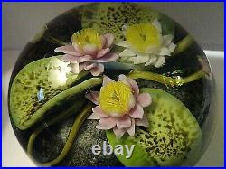 1987 PAUL STANKARD Art Glass Water Lily Apparitions of Pine Barren's Paperweight