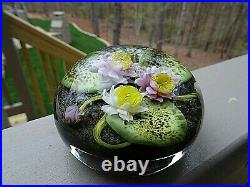 1987 PAUL STANKARD Art Glass Water Lily Apparitions of Pine Barren's Paperweight