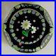 1995-Scottish-Perthshire-Flower-Millefiori-Canes-Faceted-Glass-Paperweight-P-01-ijlb
