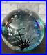 1999-Signed-Johnathan-Winfisky-Round-Seascape-Art-Glass-Paperweight-01-nrr