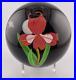 2022-MAYAUEL-WARD-Red-Iris-WithFull-Moon-Stars-on-Iridescent-Base-Paperweight-3-2-01-uqmg