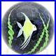AWESOME-Large-ORIENT-FLUME-White-and-Yellow-ANGELFISH-Art-Glass-PAPERWEIGHT-01-zi