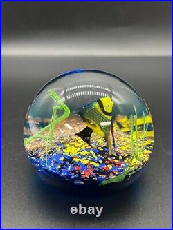 Amazing Paperweight Handmade Art Glass Underwater Ocean Reef Fish