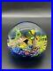 Amazing-Paperweight-Handmade-Art-Glass-Underwater-Ocean-Reef-Fish-01-yu