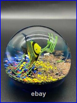 Amazing Paperweight Handmade Art Glass Underwater Ocean Reef Fish