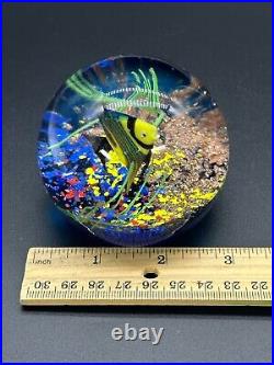 Amazing Paperweight Handmade Art Glass Underwater Ocean Reef Fish