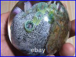 Artisan 1991 M E Mark Eckstrand 3.5 Art Glass Sea Life Paperweight 1 lb 11.5 oz