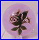 Astounding-Signed-William-Manson-Jr-3-Pink-White-Wild-Roses-Glass-Paperweight-01-id