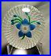 Attractive-Perthshire-Blue-Flower-upon-Double-Spiral-Field-Glass-Paperweight-01-wkjb