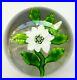 BACCARAT-DOUBLE-CLEMATIS-WITH-BUD-Paperweight-Briefbeschwerer-Sulfure-ANTIK-01-zhu