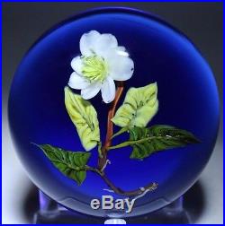 Beautiful PAUL STANKARD Experimental FLORAL & ROOTS Art Glass PAPERWEIGHT