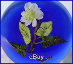 Beautiful PAUL STANKARD Experimental FLORAL & ROOTS Art Glass PAPERWEIGHT