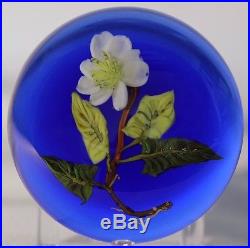 Beautiful PAUL STANKARD Experimental FLORAL & ROOTS Art Glass PAPERWEIGHT