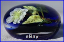 Beautiful PAUL STANKARD Experimental FLORAL & ROOTS Art Glass PAPERWEIGHT