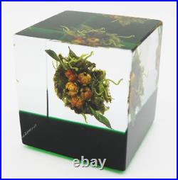 Beautiful PAUL STANKARD Realistic BERRY CLUSTER Art Glass SCULPTURE Cube
