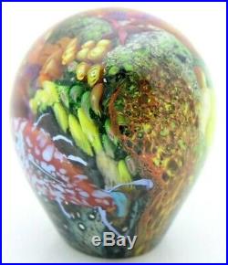 Beautiful PETER RAOS Pacific Tropical Fish & Reef Aquarium Art Glass PAPERWEIGHT