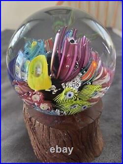 Breathtaking Mark Eckstrand Signed Coral Reef Aquarium Art Glass Paperweight EUC