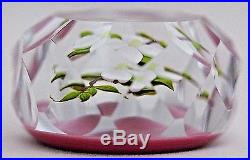 CHARMING Paul STANKARD Multifaceted DOGWOOD On PINK Ground ART Glass PAPERWEIGHT