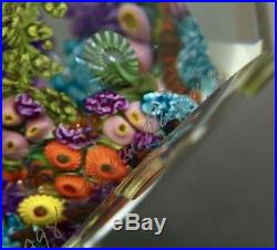 CHRIS HEILMAN Blue Runner Coral Reef 98 Glass Magnum Paperweight, Aprx 5.5Hx5W