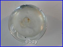 Clear Hand Blown Art Glass Paperweight with Abstract Bubble Decorations