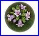 Clinton-Smith-Glass-Paperweight-Purple-Mountain-Saxifrage-Flowers-2020-Lampwork-01-fq