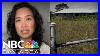 Concord-Woman-Shocked-After-House-Is-Built-On-Her-Hawaii-Lot-By-Mistake-01-hp