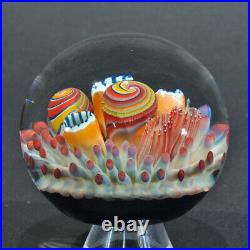 Coral Reef Art Glass Paper Weight By Trey Cornette