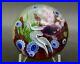 Daniel-Salazar-Colorful-Betafish-Underwater-Art-Glass-Paperweight-Apr-2-5Hx3W-01-lx