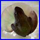 Daum-France-Pate-de-Verre-Small-Frog-on-Lily-Pad-SIGNED-01-fjfz