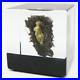 EXQUISITE-Paul-STANKARD-22k-GOLD-Art-Glass-FERTILITY-Cube-Paperweight-SCULPTURE-01-sr