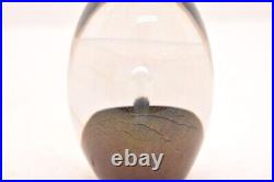 Eickholt Art Glass Egg Shaped Iridescent Bubble Paperweight 4.5 Signed 1988