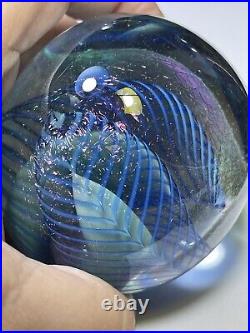Eickholt Signed 1995 Iridescent Art Glass Paperweight Blue Swirl WSCH