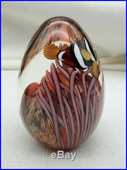 Estate Orient & Flume Clown Fish Art Glass Aquarium Paperweight Signed Numbered