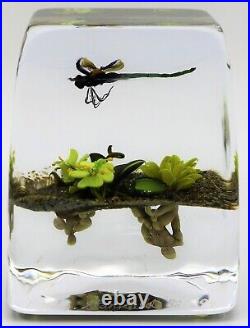 FASCINATING Paul STANKARD Dragonfly Art Glass PAPERWEIGHT Block Root Spirits