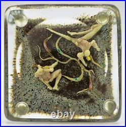 FASCINATING Paul STANKARD Dragonfly Art Glass PAPERWEIGHT Block Root Spirits