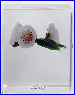 Gorgeous Paul STANKARD Block with MOUNTAIN LAURELS on BRANCH Art Glass PAPERWEIGHT