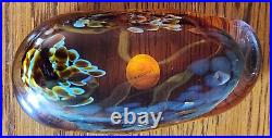 Gorgeous & Rare Fusion Z Elongated Amber Glass Paperweight Signed Pavel Hanousek