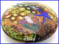 HUGE Astounding PETER RAOS Colorful STARFISH AQUARIUM Art Glass PAPERWEIGHT 4.2