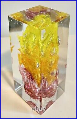 Handblown Art Glass Christopher Morrison Rainbow Cube Paperweight 5.75h Signed