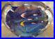 Huge-Heavy-Vintage-Art-Glass-Fish-Aquarium-Paperweight-MURANO-10-7-5-Inches-01-vnpv
