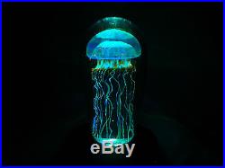 Illuminating Rick Satava Moon Jellyfish Paperweight Artist Signed & #! - Beauty