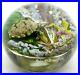 LARGE-Fantastic-JIM-D-ONOFRIO-Colorful-TURTLE-Pond-ORCHID-Art-Glass-PAPERWEIGHT-01-jwp