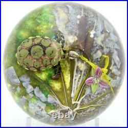 LARGE Fantastic JIM D'ONOFRIO Colorful TURTLE Pond ORCHID Art Glass PAPERWEIGHT