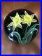 LARGE-Gorgeous-STEVEN-LUNDBERG-Double-DAFFODIL-Blue-Ground-GLASS-Art-PAPERWEIGHT-01-aaw