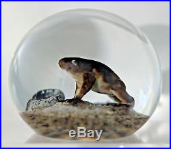 LARGE Super AWESOME Cool TRABUCCO Studio FROG Art Glass PAPERWEIGHT
