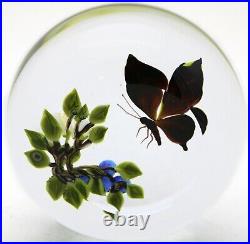 LARGE Victor TRABUCCO Swallowtail BUTTERFLY & Blue Berries Art Glass PAPERWEIGHT